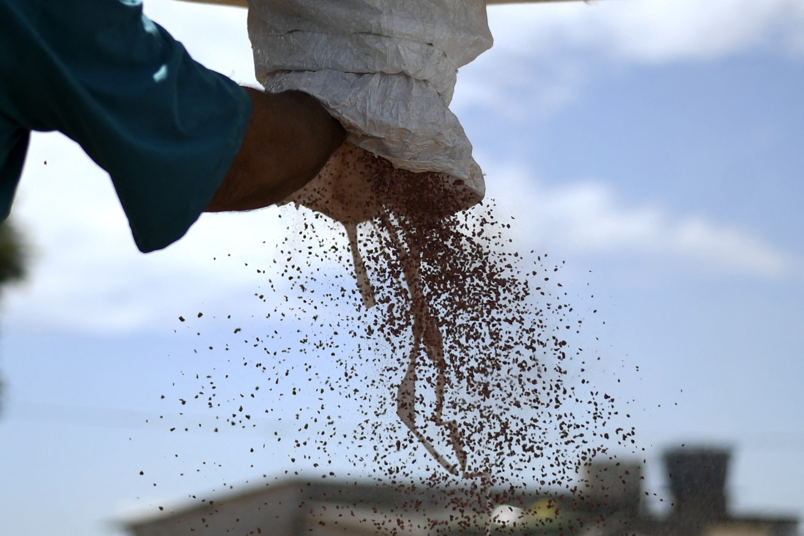 Países árabes têm interesse em exportar fertilizantes para o Brasil