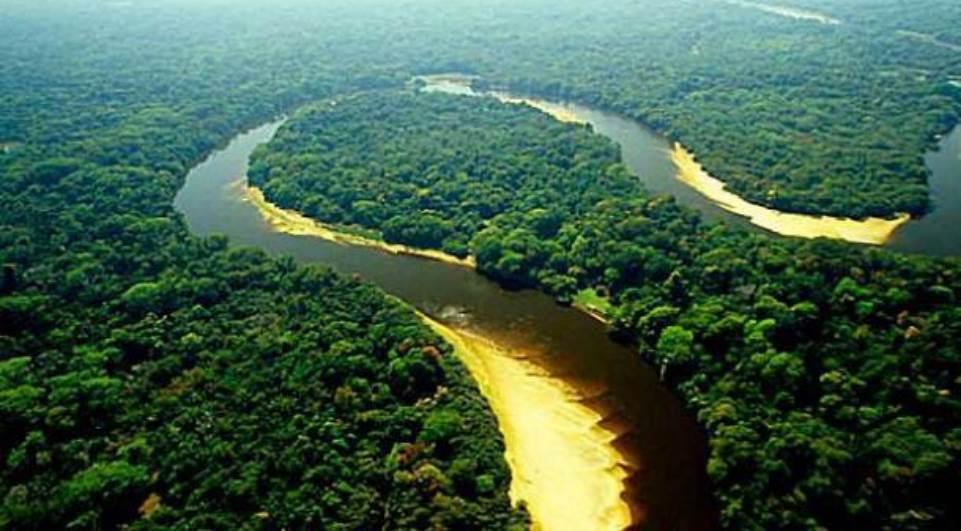 O Novo Código Florestal Brasileiro pacificou o país