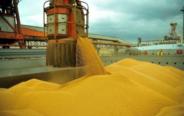Exportações do agronegócio superam 50% da pauta brasileira