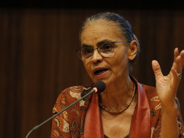 Marina Silva culpa Bolsonaro por recorde de desmatamento no governo Lula