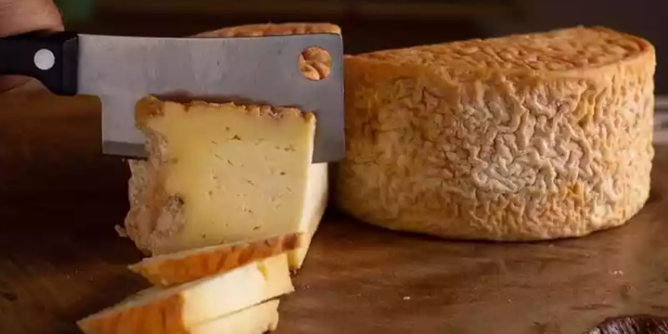 Queijos mineiros dominam concurso de queijos na França