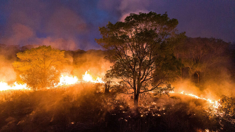 Quase mil por cento de aumento nas queimadas do Brasil
