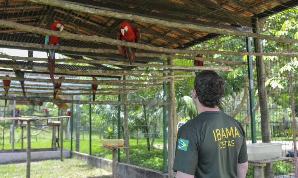 Servidores do meio ambiente anunciam greve