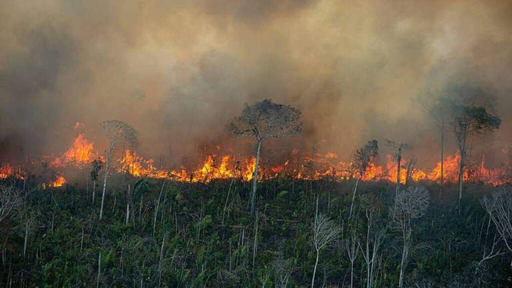 Senador questiona paradeiro de artistas do ‘Salve a Amazônia’