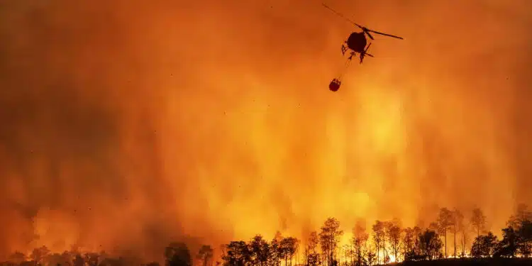 Queimadas disparam no Brasil: aumento de 46% em 2024 choca o país