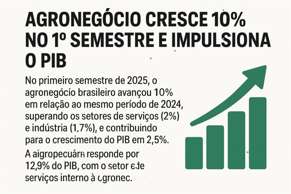 Agronegócio cresce 10% no 1º semestre e impulsiona o PIB